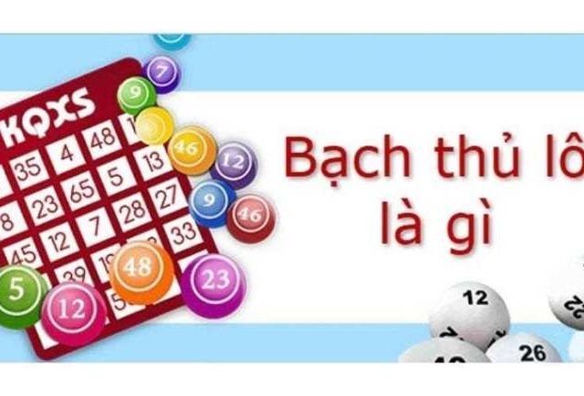 Bạch thủ lô là gì?