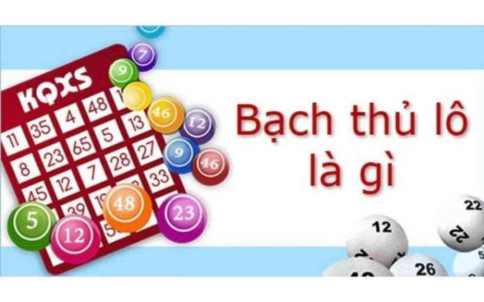 Bạch thủ lô là gì?