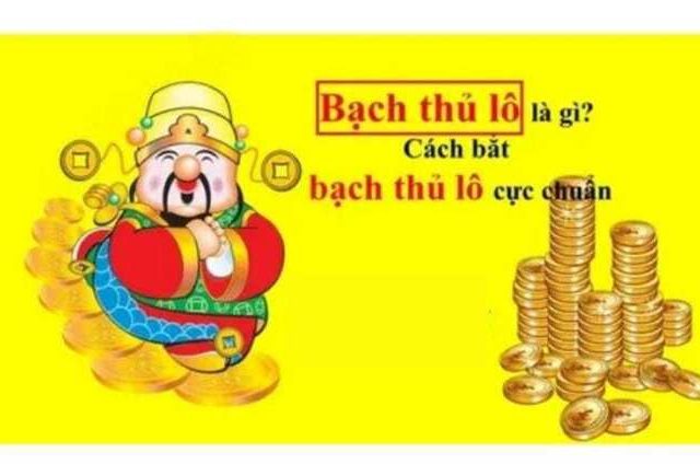 Bạch thủ lô là gì?