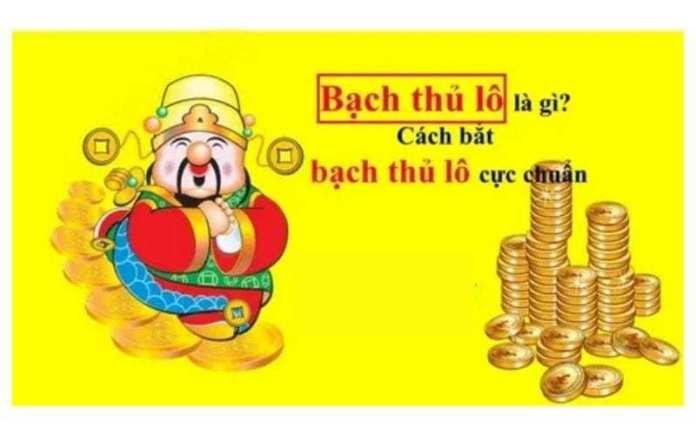 Bạch thủ lô là gì?